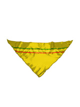 Traje Nortino Niña Amarillo 1 Unidad