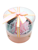 Caja Circulo Ventana Acrilico 14X12X11 X 4 Unidades