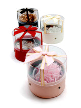 Caja Circulo Ventana Acrilico 14X12X11 X 4 Unidades