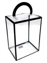 Caja Plegable Plástico  Franja Negra X 1 Unidad