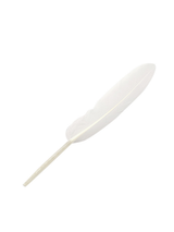 Plumas 13 Cm 12 Unidades