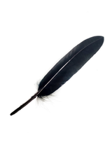 Plumas 13 Cm 12 Unidades