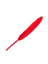 Plumas 13 Cm 12 Unidades