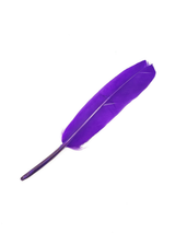 Plumas 13 Cm 12 Unidades