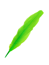 Plumas 13 Cm 12 Unidades