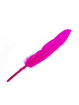 Plumas 13 Cm 12 Unidades