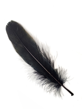 Pluma 17 Cm 12 Unidades - KiraKira