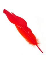 Pluma 17 Cm 12 Unidades - KiraKira