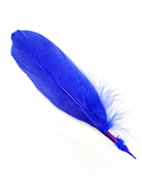 Pluma 17 Cm 12 Unidades - KiraKira