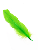 Pluma 17 Cm 12 Unidades - KiraKira