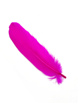 Pluma 17 Cm 12 Unidades - KiraKira