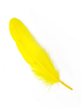 Pluma 17 Cm 12 Unidades - KiraKira