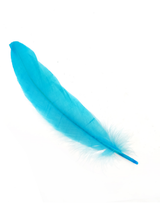 Pluma 17 Cm 12 Unidades - KiraKira