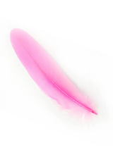 Pluma 17 Cm 12 Unidades - KiraKira