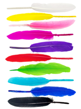 Plumas 13 Cm 12 Unidades