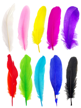 Pluma 17 Cm 12 Unidades - KiraKira