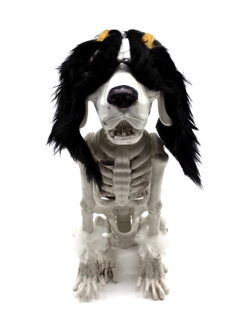 Esqueleto Beagle 25 Cm Halloween