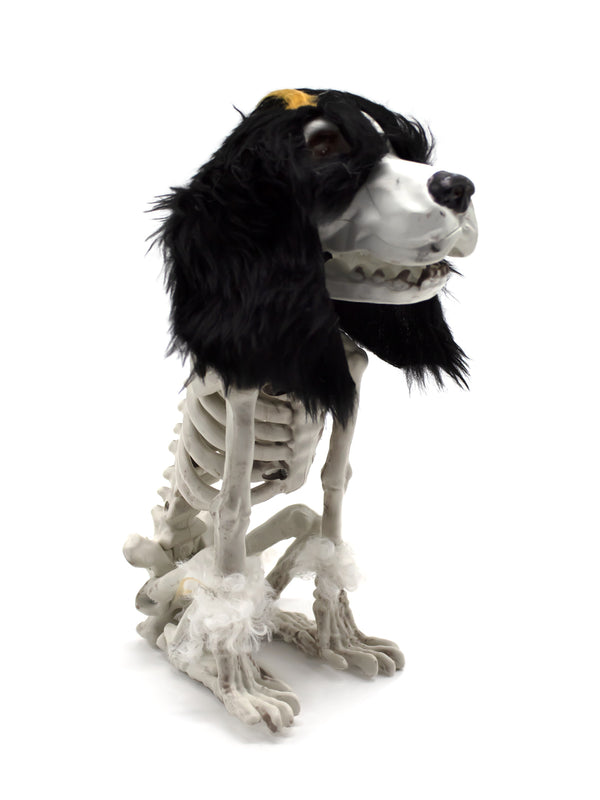 Esqueleto Beagle 25 Cm Halloween