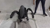 Mujer Sentada Poseida Animatronics 60 Cm X 1 Unidad